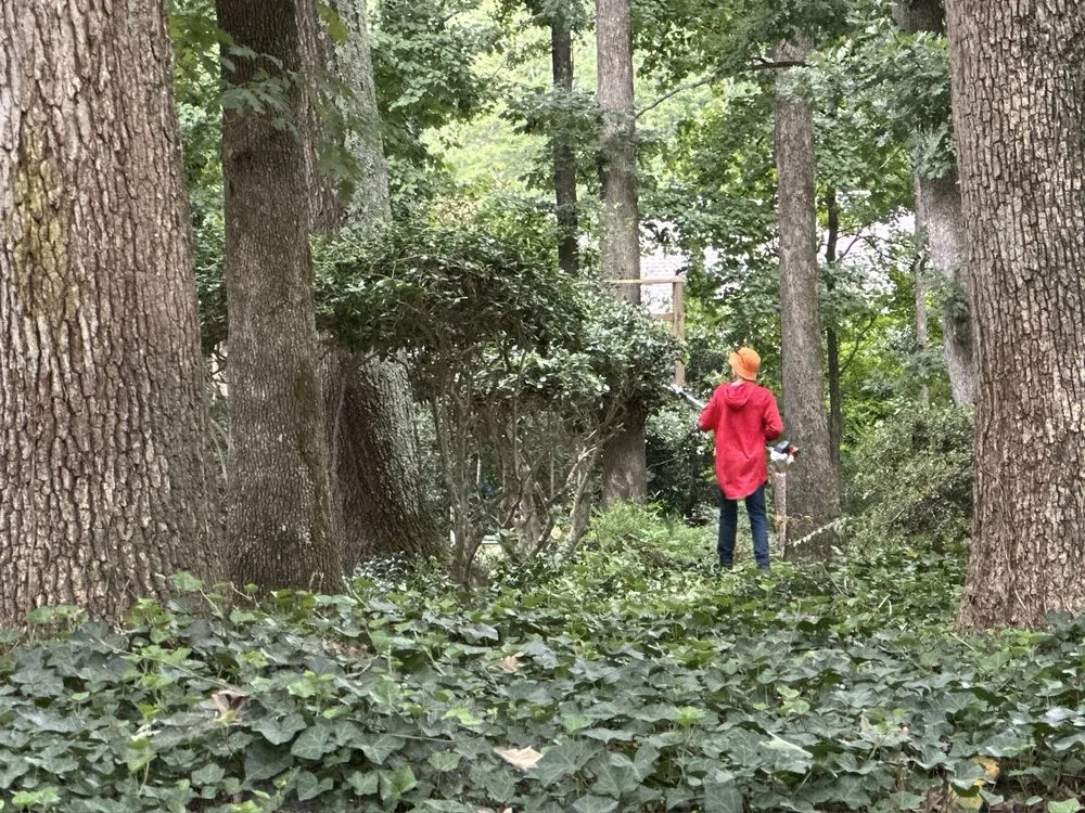 Professional outdoor landscaping in Stallings, NC by Brothers Mowing