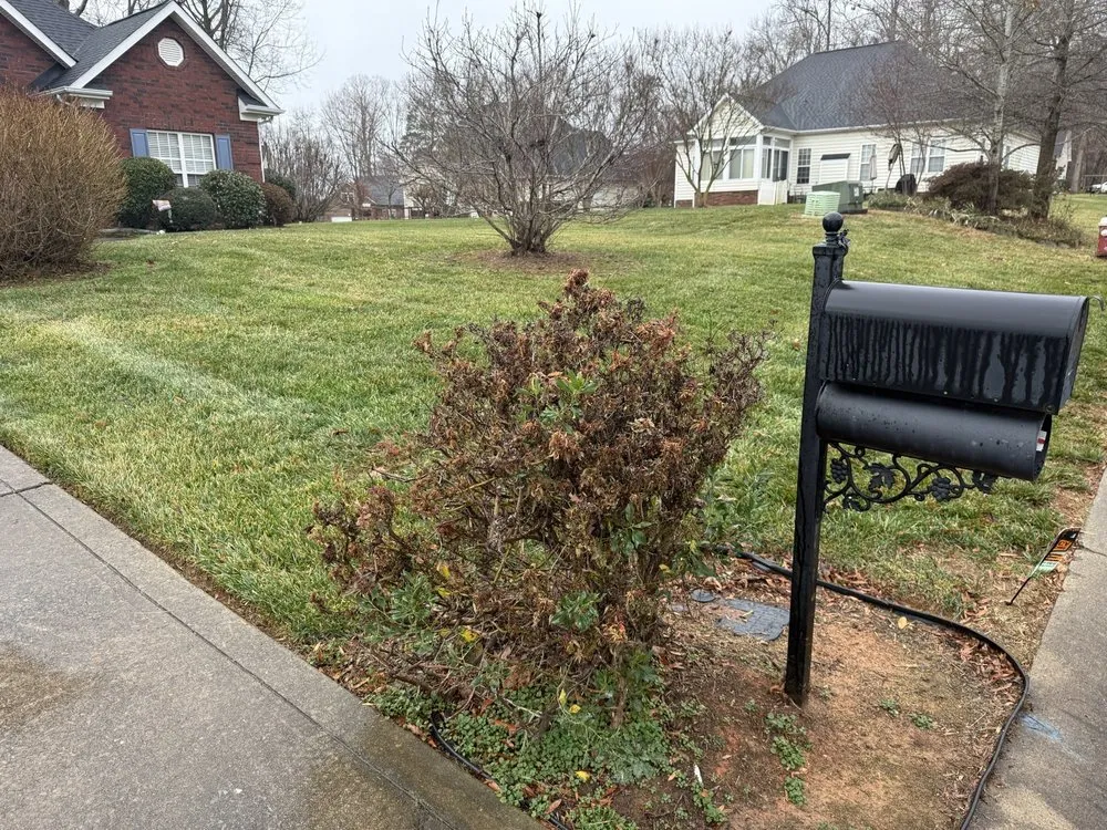 Custom outdoor landscaping for outdoor upgrades in Stallings, NC by Brothers Mowing