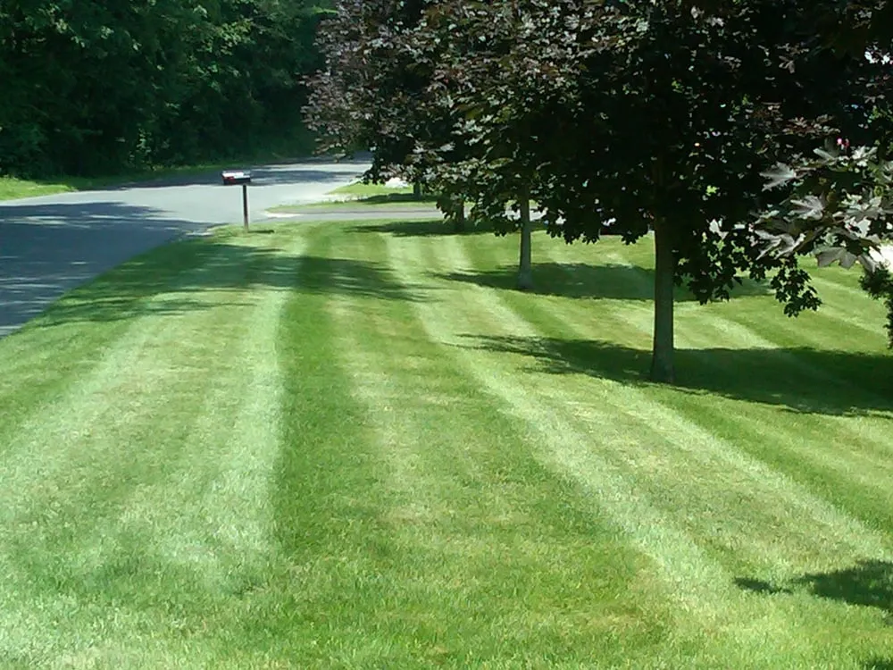 Professional landscaping services for homes in Brookfield, CT by Brothers Outdoor Services