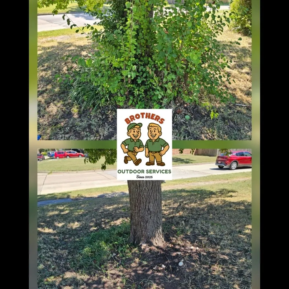 Reliable garden landscaping in Norman, OK - Brothers Outdoor Services
