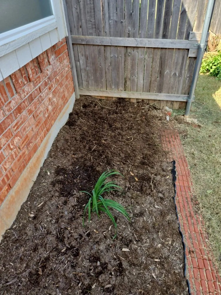 Top-rated landscaping services experts serving Norman, OK - Brothers Outdoor Services