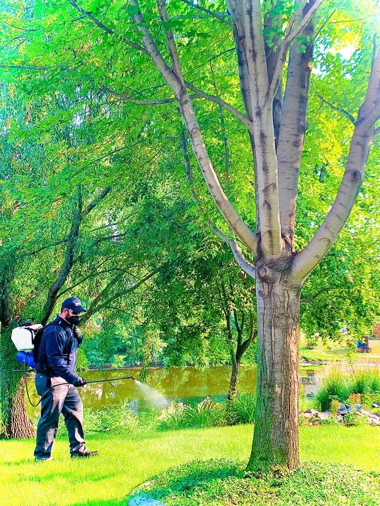 Professional yard maintenance in Jordan, MN by Brothers Pest Management