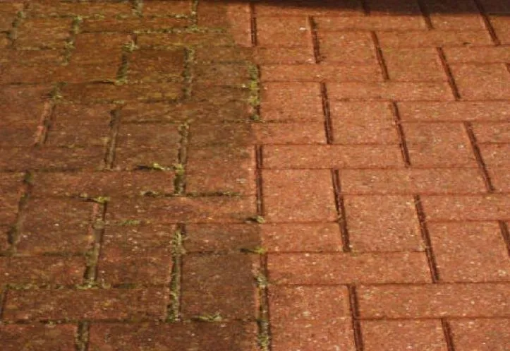 Reliable yard cleanup service experts serving Huntsville, AL - Brothers Professional Landscaping