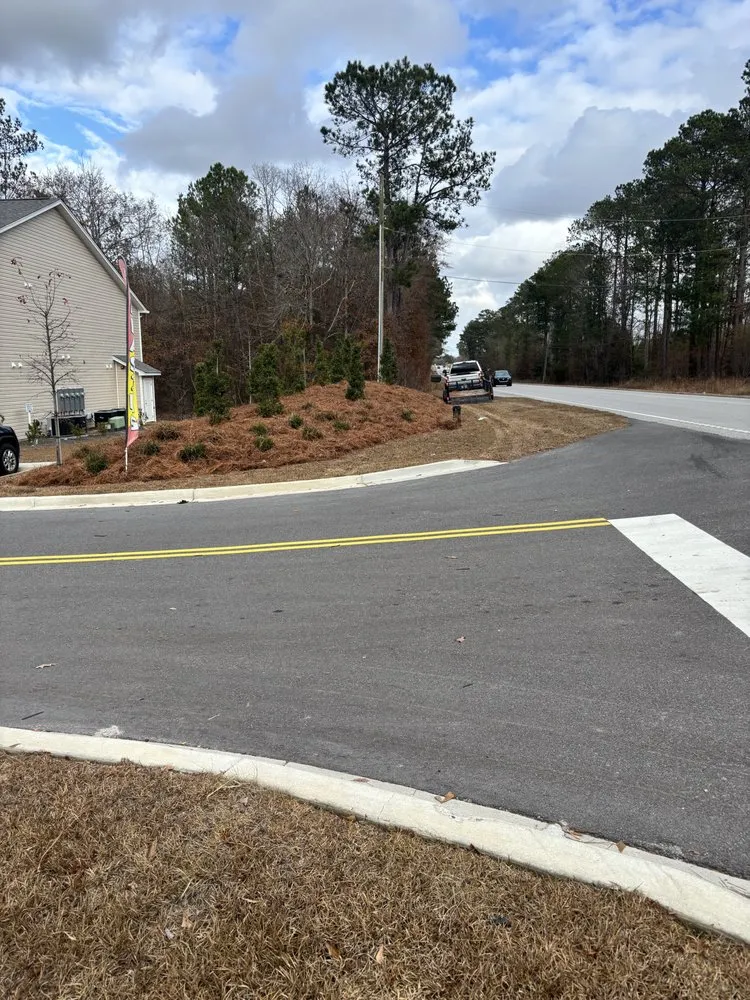 Reliable landscape design in Elgin, SC - Brother’s Property Preservation