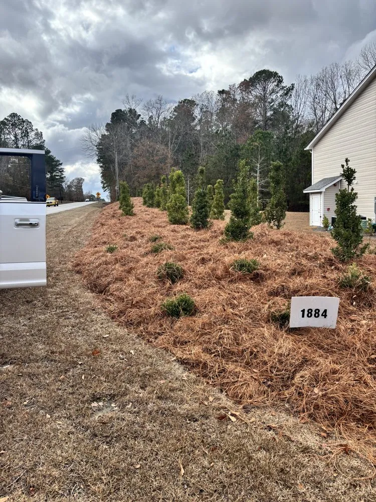 Local yard maintenance experts serving Elgin, SC - Brother’s Property Preservation