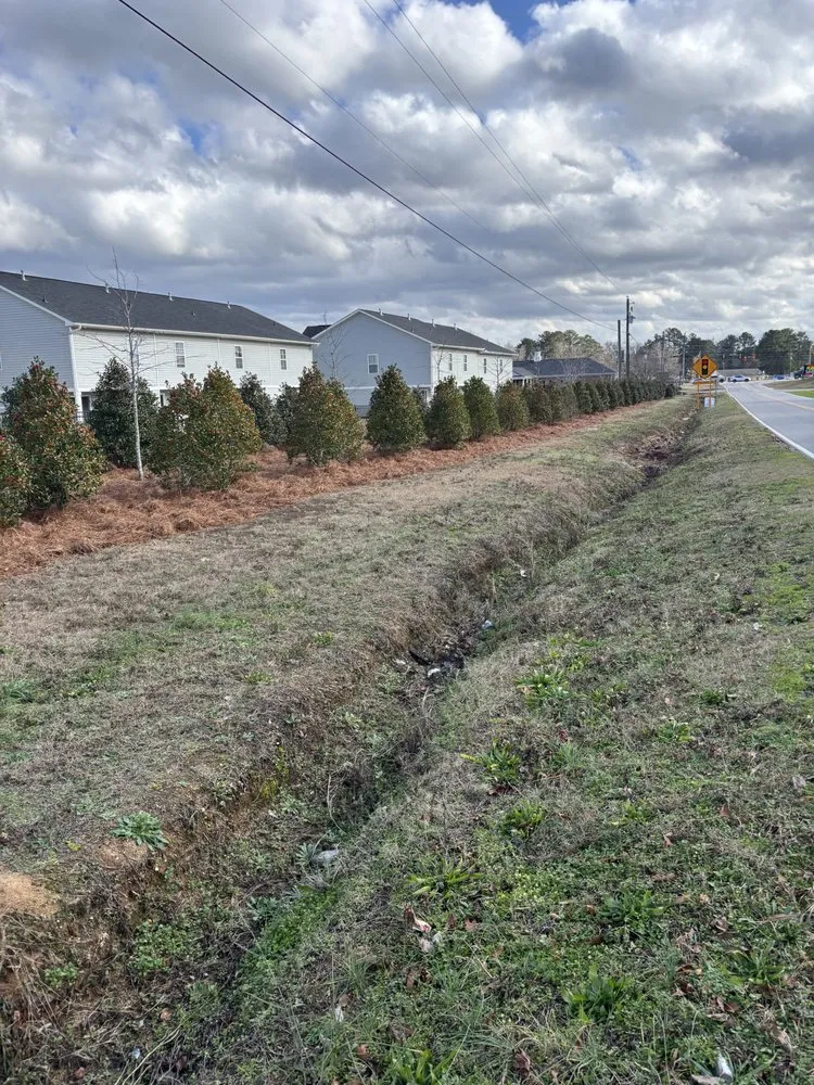 Expert outdoor landscaping for homes in Elgin, SC by Brother’s Property Preservation