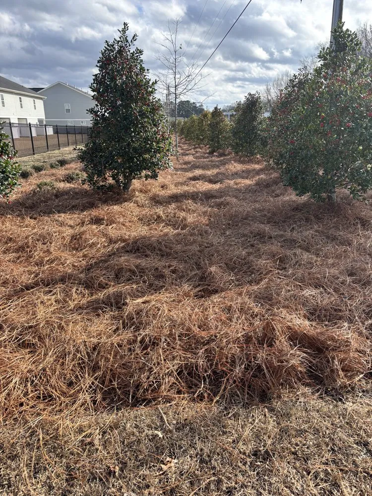 Custom landscaping services experts serving Elgin, SC - Brother’s Property Preservation