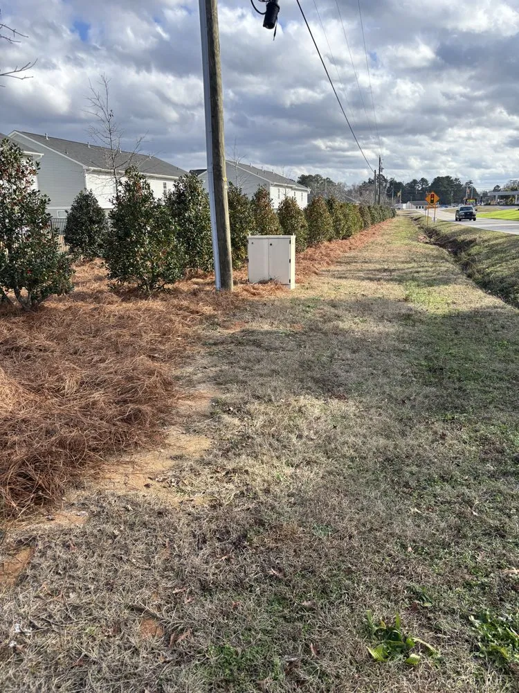 Affordable residential landscaping experts serving Elgin, SC - Brother’s Property Preservation