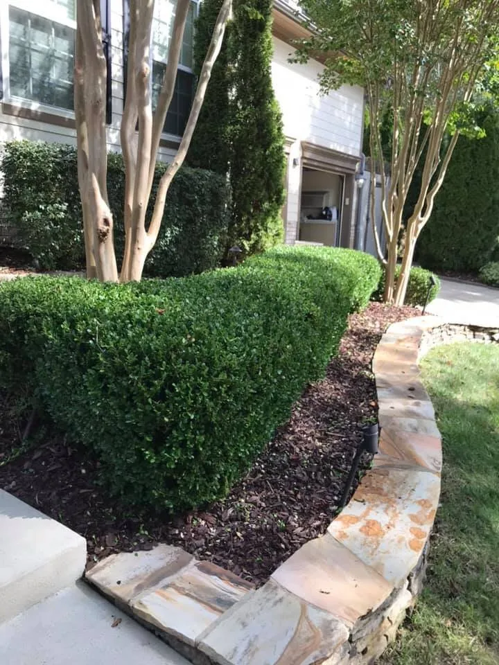 Custom landscape installation in Raleigh, NC - Brothers Remodeling