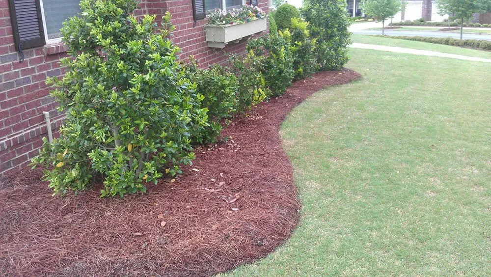 Professional garden landscaping near you across Raleigh, NC - Brothers Remodeling