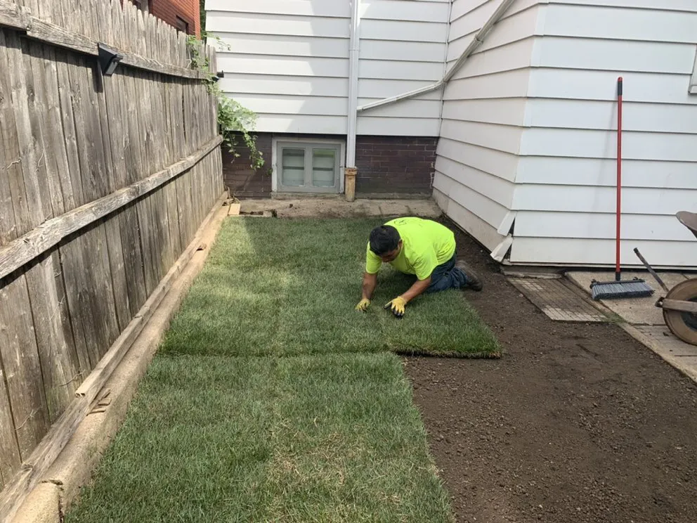 Professional yard cleanup service in Waukesha, WI - Brothers Rodriguez Landscaping
