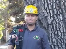 Top-rated landscape design in Redwood City, CA by Brothers Services Tree Care