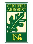 Expert lawn mowing service in Redwood City, CA - Brothers Services Tree Care