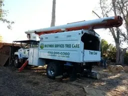 Professional landscape design in Redwood City, CA - Brothers Services Tree Care