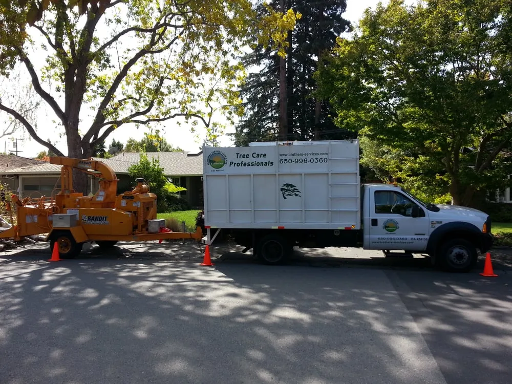 Custom yard maintenance in Redwood City, CA - Brothers Services Tree Care