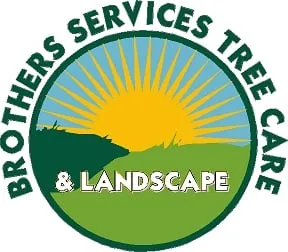 Brothers Services Tree Care