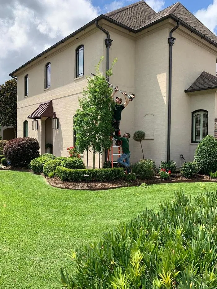 Top-rated yard maintenance in Youngsville, LA by Brothers Services