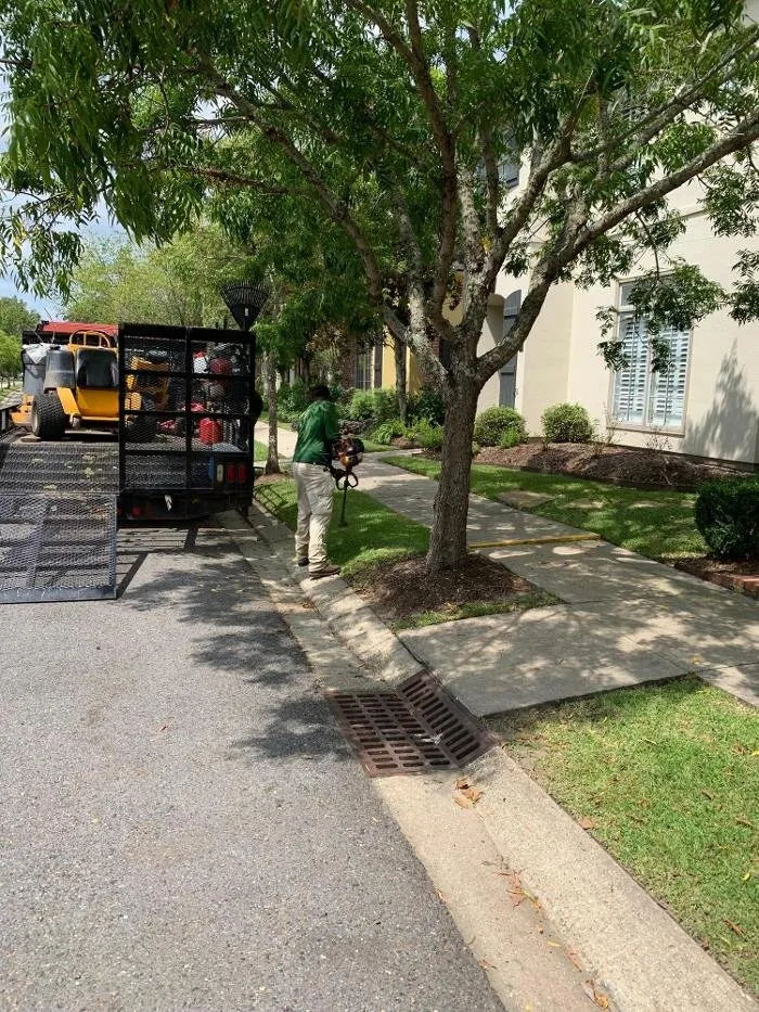 Professional residential landscaping in Youngsville, LA by Brothers Services