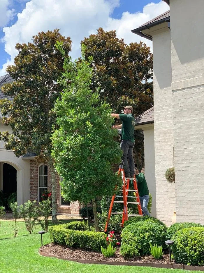 Custom yard maintenance in Youngsville, LA by Brothers Services