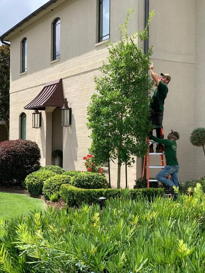 Trusted lawn mowing service experts serving Youngsville, LA - Brothers Services