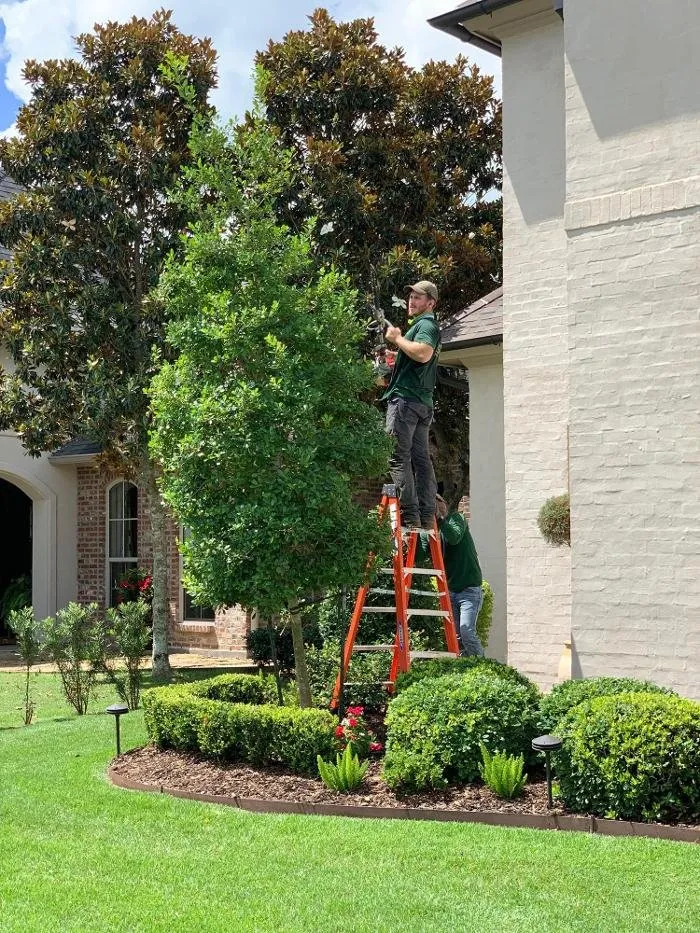 Trusted residential landscaping near you across Youngsville, LA - Brothers Services