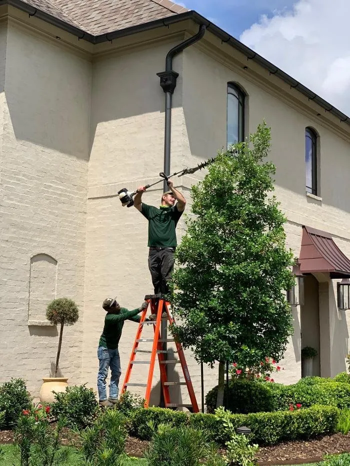 Affordable landscape design for beautiful yards in Youngsville, LA by Brothers Services