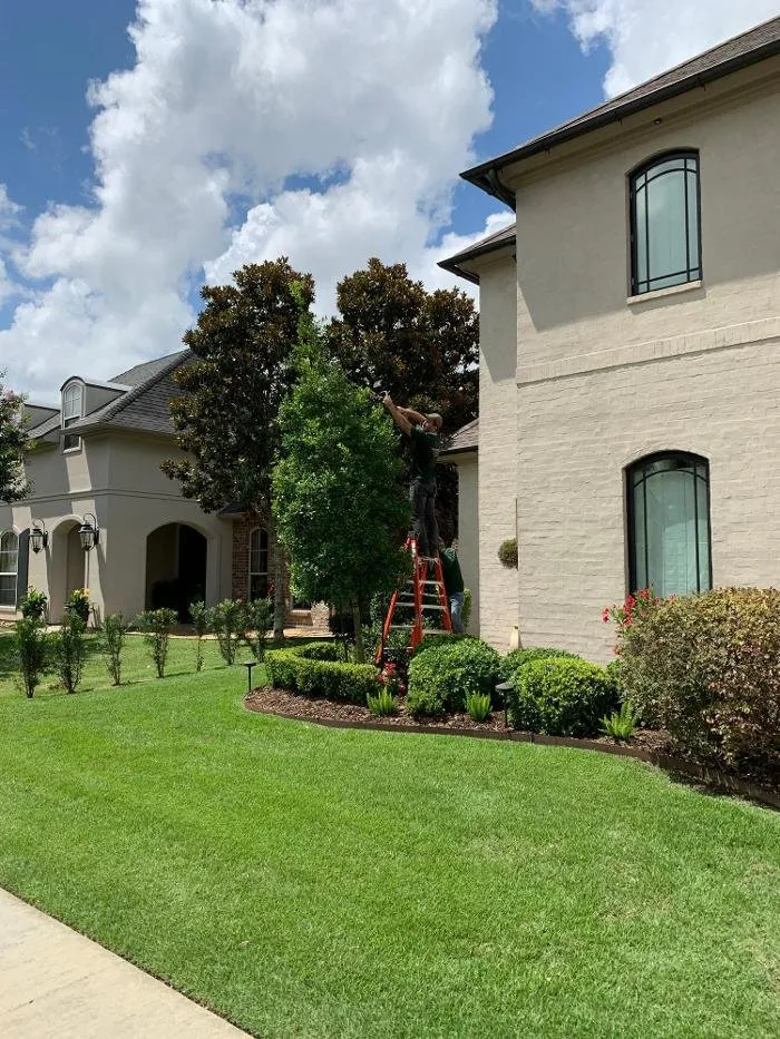 Custom landscape design in Youngsville, LA - Brothers Services