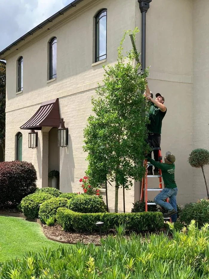 Trusted yard cleanup service experts serving Youngsville, LA - Brothers Services