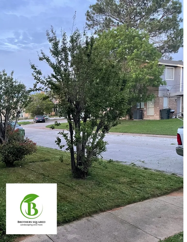 Trusted lawn care service in White Settlement, TX by Brothers Squared