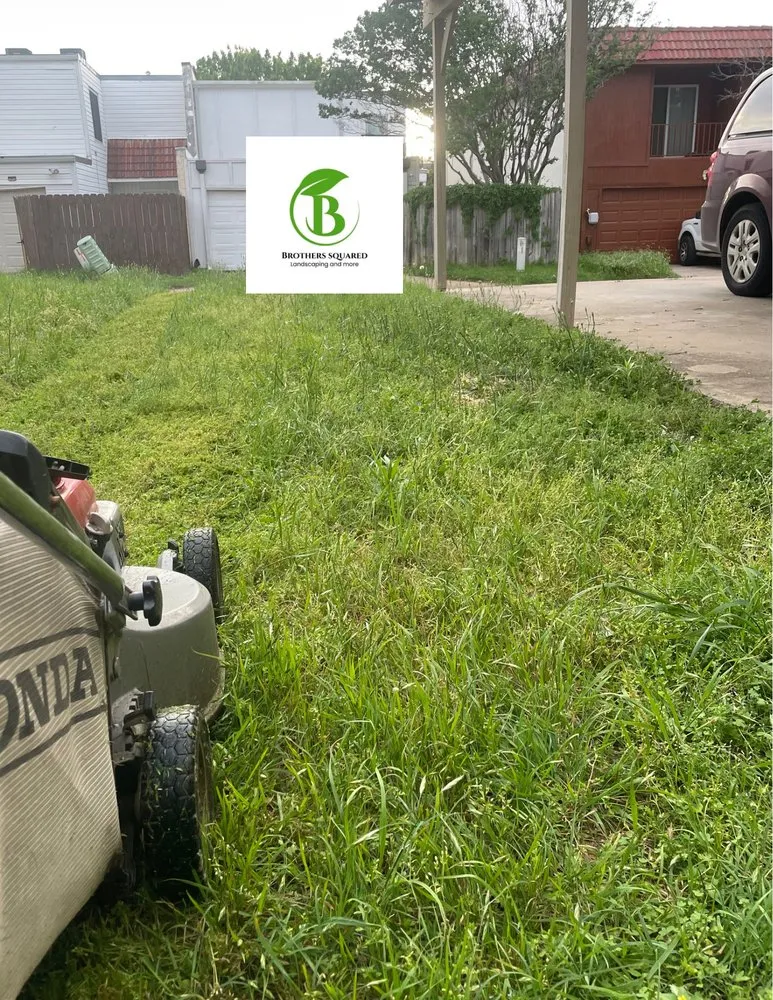 Reliable landscaping services for year-round maintenance across White Settlement, TX - Brothers Squared