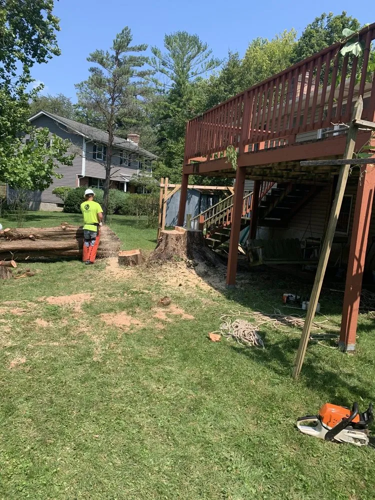 Top-rated garden landscaping in Glen Burnie, MD by Brothers Stone & Landscaping