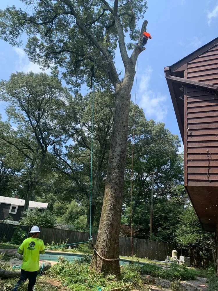 Professional lawn care service in Glen Burnie, MD - Brothers Stone & Landscaping