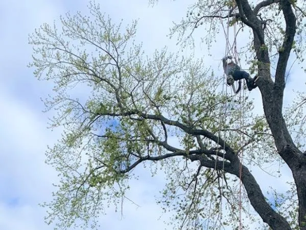 Expert landscaping services in Glen Burnie, MD - Brothers Stone & Landscaping