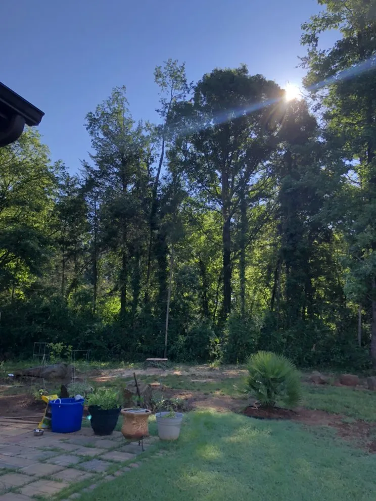 Affordable landscape design in Gastonia, NC - Brothers Tree & Lawncare Service