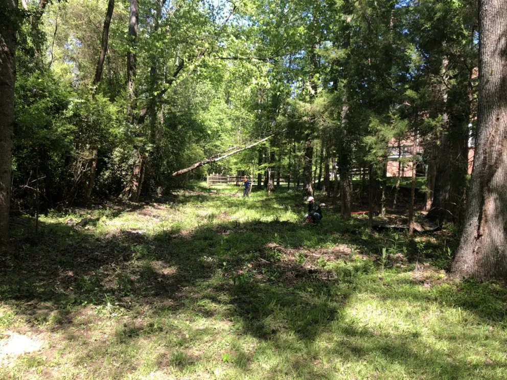 Expert yard maintenance for outdoor upgrades in Gastonia, NC by Brothers Tree & Lawncare Service