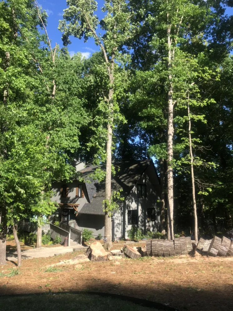 Top-rated landscape design for beautiful yards across Gastonia, NC - Brothers Tree & Lawncare Service