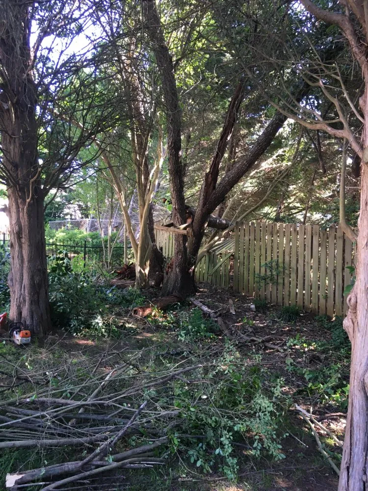 Affordable yard cleanup service with custom design in Gastonia, NC by Brothers Tree & Lawncare Service