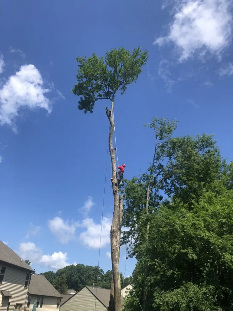 Custom garden landscaping experts serving Gastonia, NC - Brothers Tree & Lawncare Service