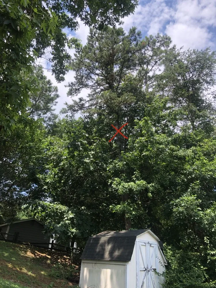 Affordable residential landscaping in Gastonia, NC - Brothers Tree & Lawncare Service