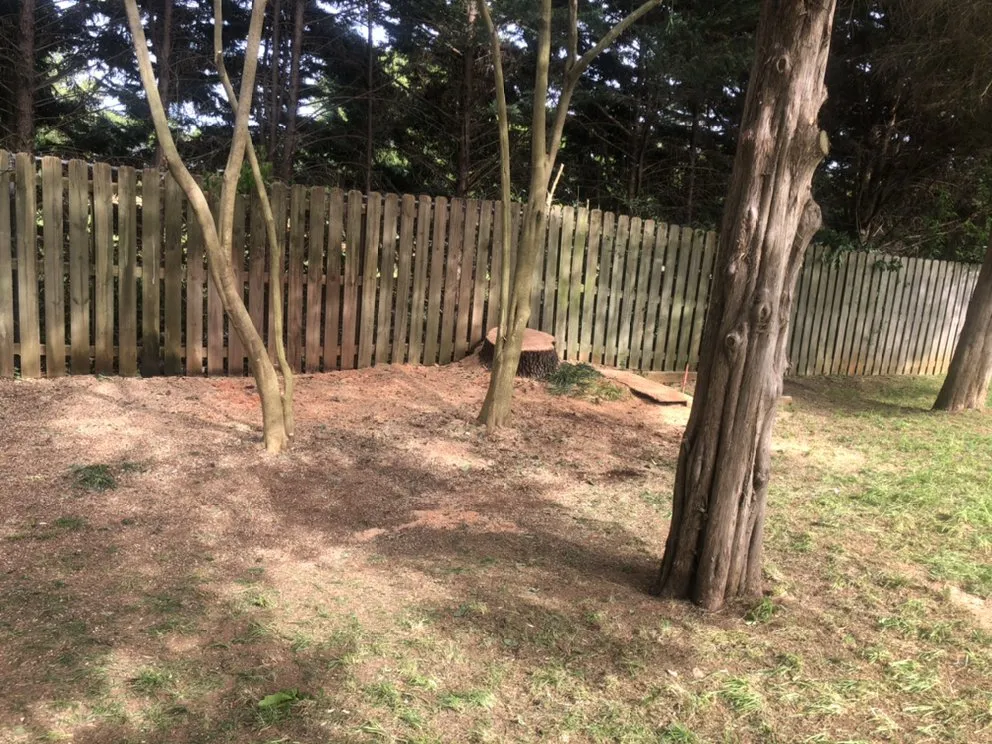 Affordable landscape installation in Gastonia, NC - Brothers Tree & Lawncare Service