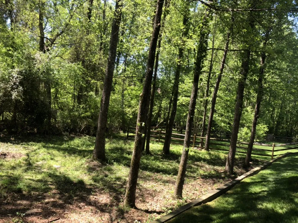 Custom yard maintenance in Gastonia, NC by Brothers Tree & Lawncare Service