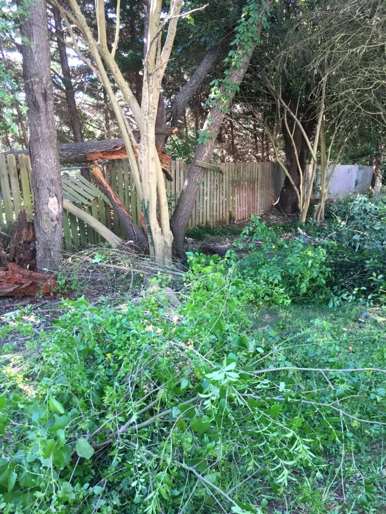 Reliable lawn care service experts serving Gastonia, NC - Brothers Tree & Lawncare Service