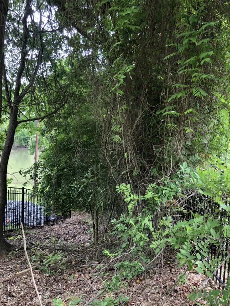 Reliable garden landscaping for homes in Gastonia, NC by Brothers Tree & Lawncare Service