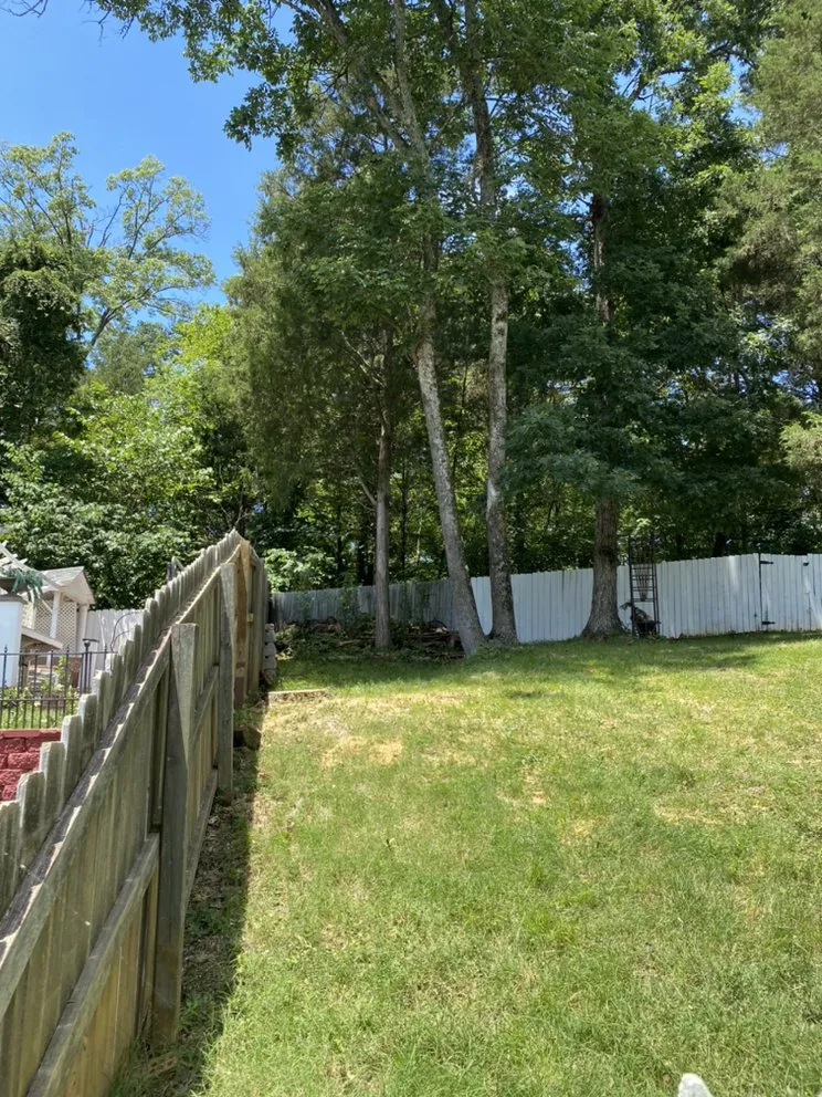 Expert yard cleanup service for beautiful yards across Gastonia, NC - Brothers Tree & Lawncare Service