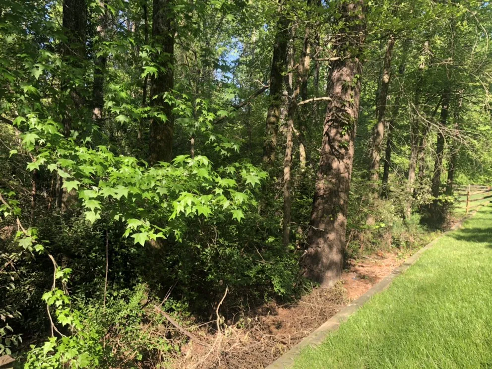 Reliable outdoor landscaping for outdoor upgrades across Gastonia, NC - Brothers Tree & Lawncare Service