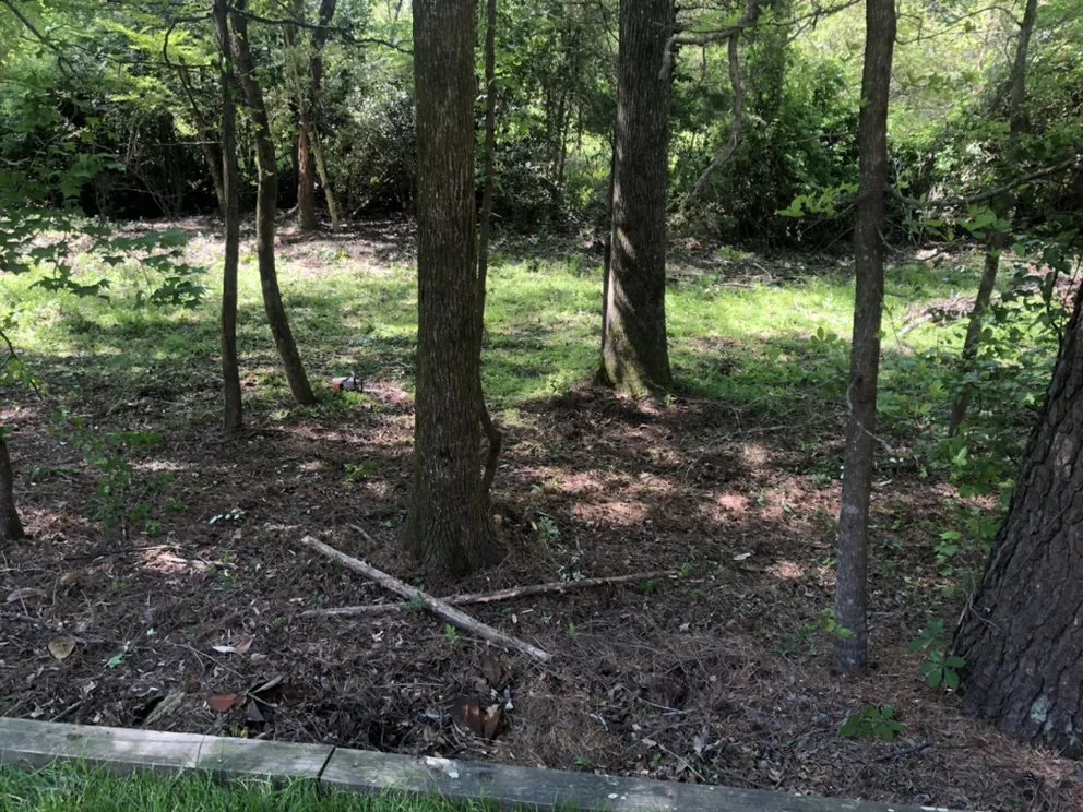 Trusted landscaping services for residential properties across Gastonia, NC - Brothers Tree & Lawncare Service