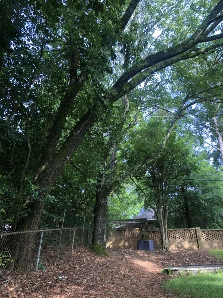 Affordable lawn mowing service for homes across Gastonia, NC - Brothers Tree & Lawncare Service