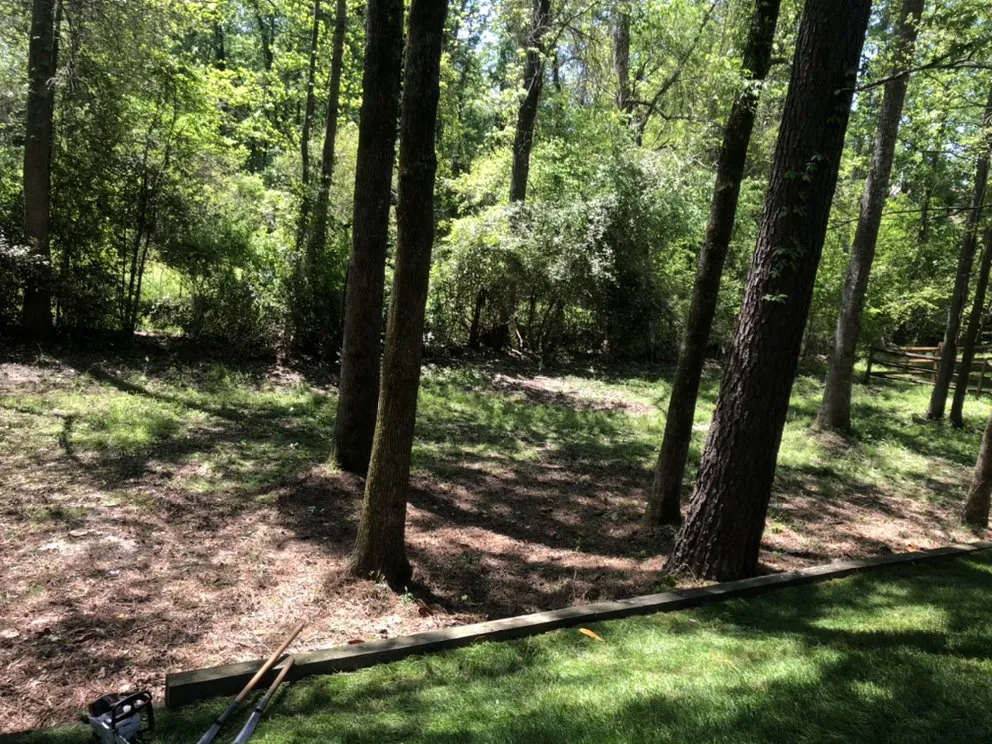 Local outdoor landscaping in Gastonia, NC by Brothers Tree & Lawncare Service