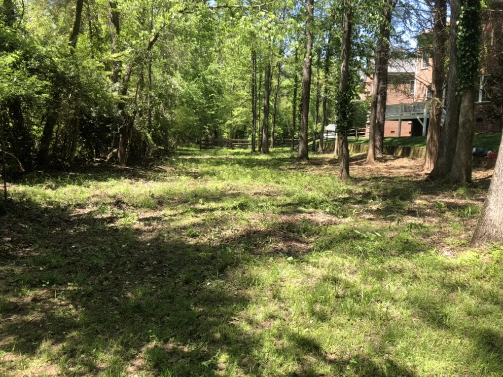 Reliable yard cleanup service in Gastonia, NC by Brothers Tree & Lawncare Service