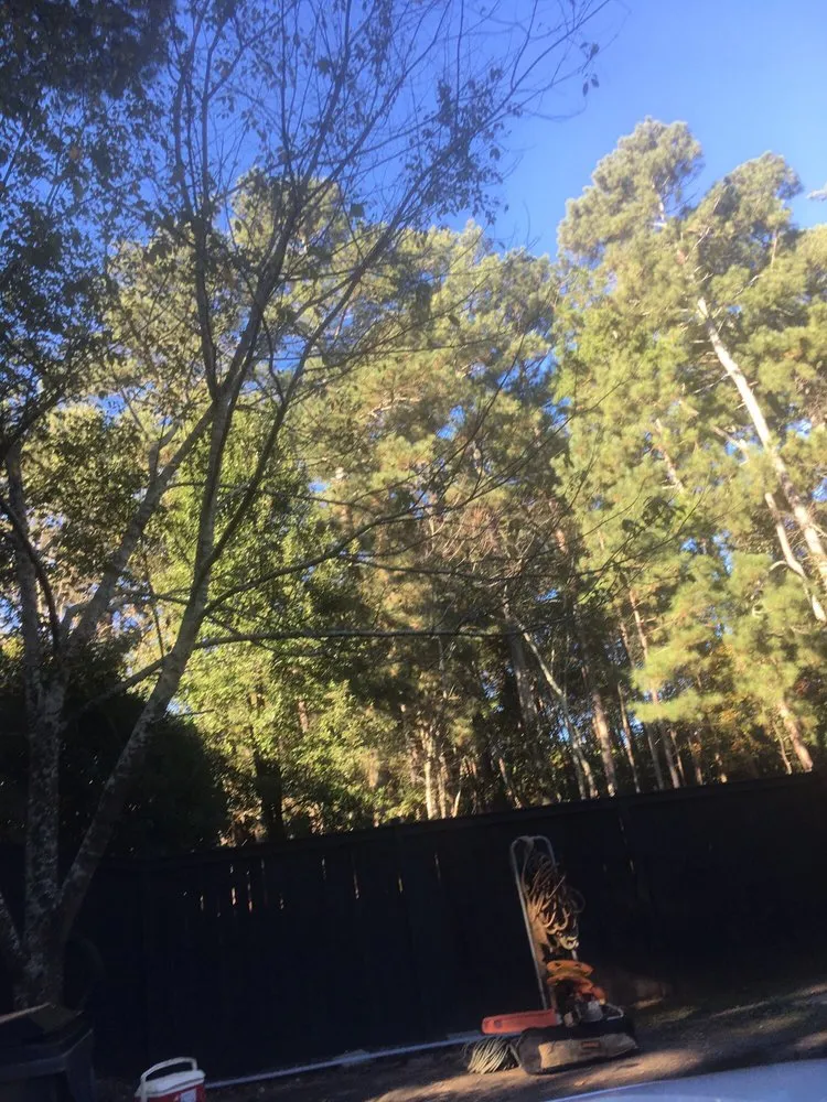 Professional lawn mowing service with custom design across Buford, GA - Brother's Tree And Lawn Services